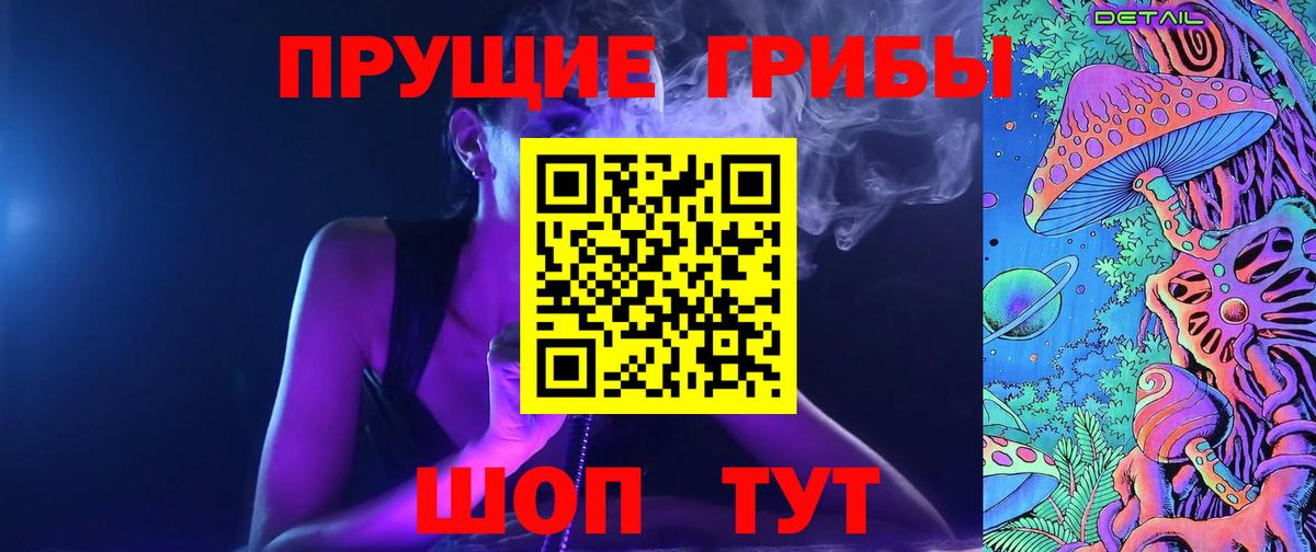 Псилоцибиновые грибы мицелий Ставрополь